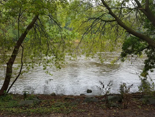 Save Wildlife Habitat along the Milwaukee River