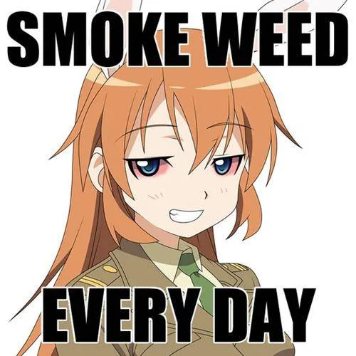 Make Busem a Mod!