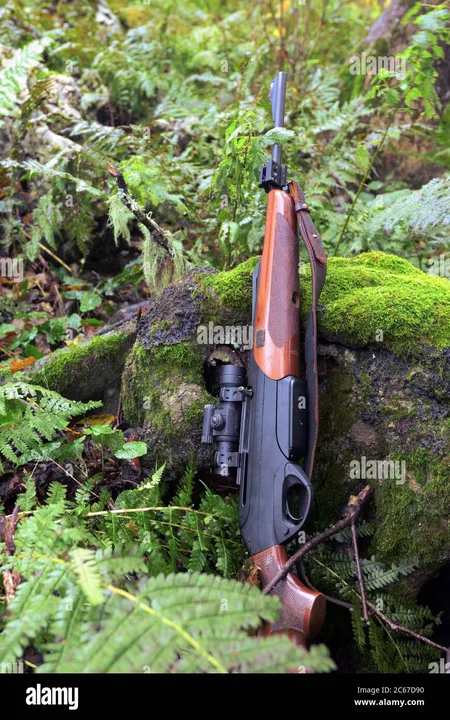 Sunday Hunting in Virginia