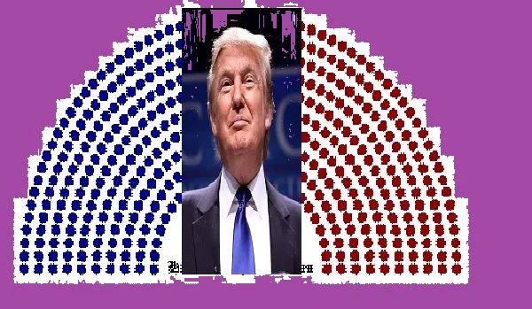STOP Congress and Media Destroying My President