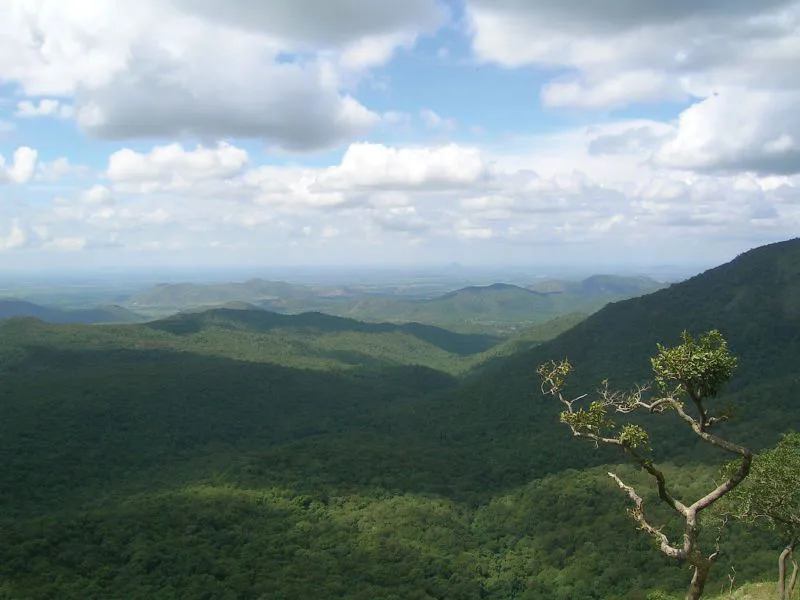 No Neutrino Observatory in Tiger Land