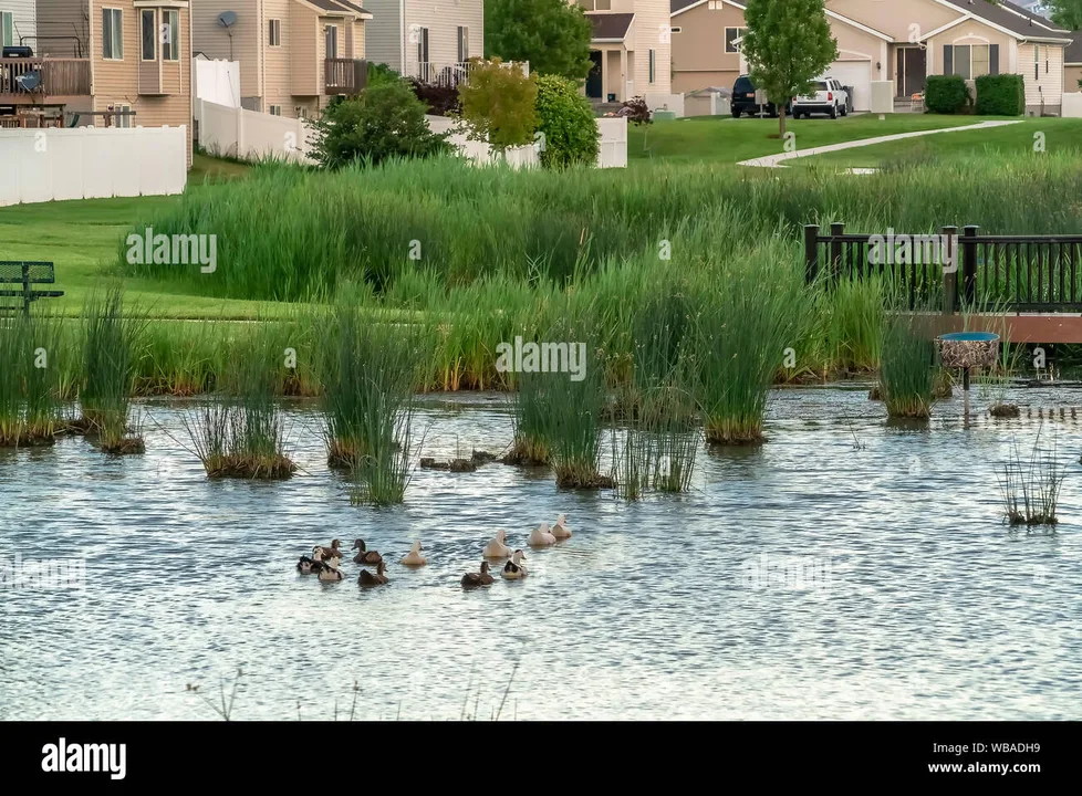 Save the Kings Charter Water Fowl