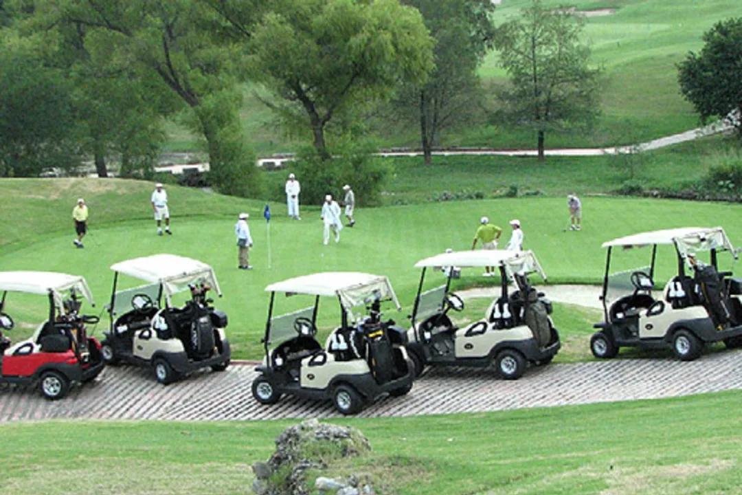 Override Service Fee and Cart Charges