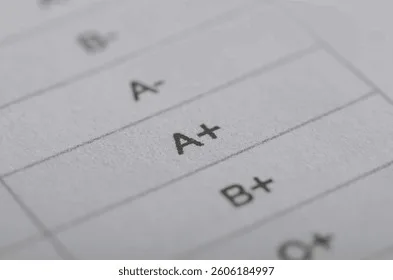 Standards Based Grading Scale