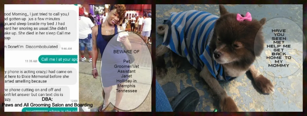 STOP this FAKE PET GROOMER before she STRIKES again, She SOLD my Pom