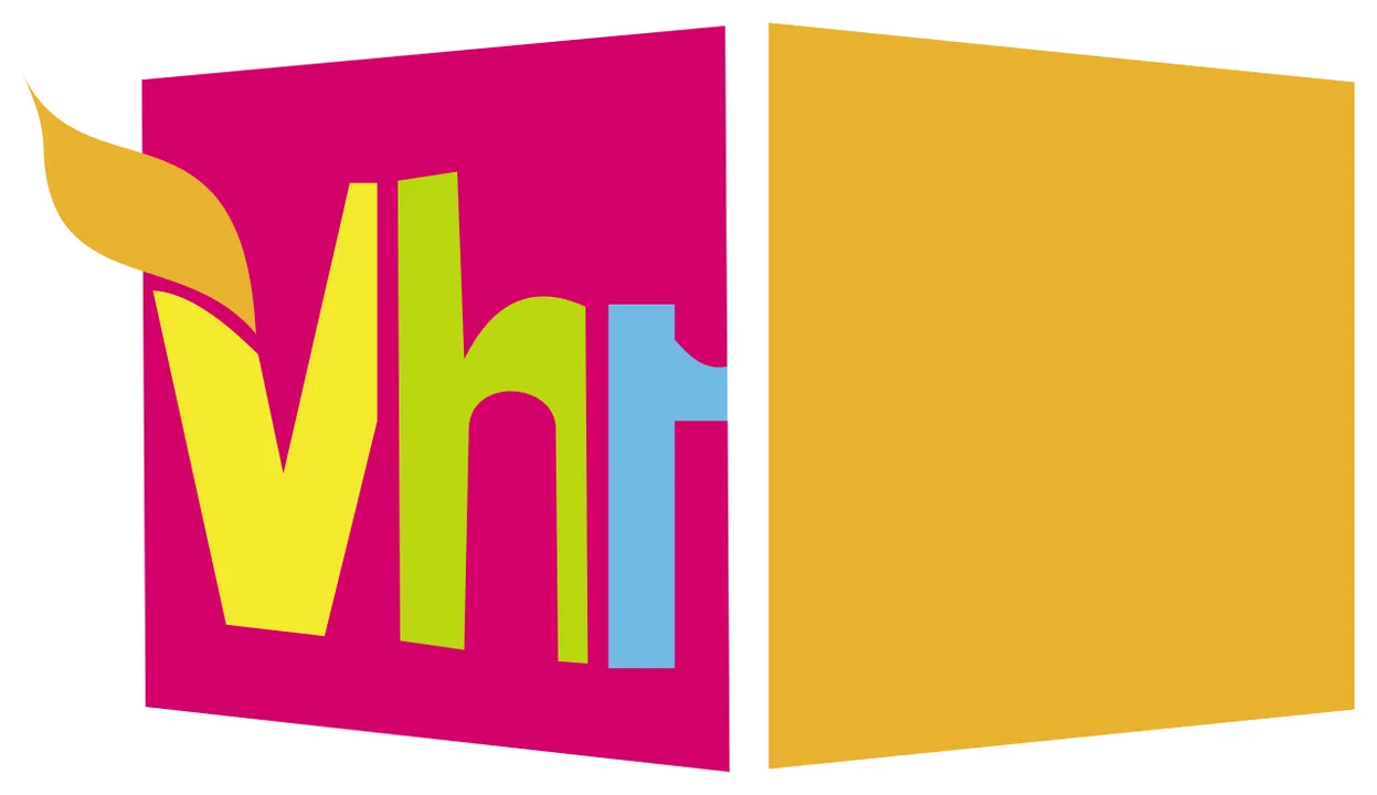 The Next Young Star- New Show for Vh1
