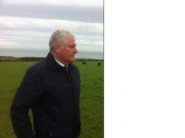 Petition against the Mistreatment of Horses in Gower
