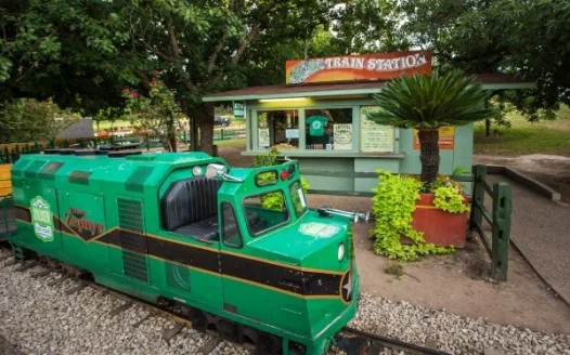 Save the Zilker Zephyr
