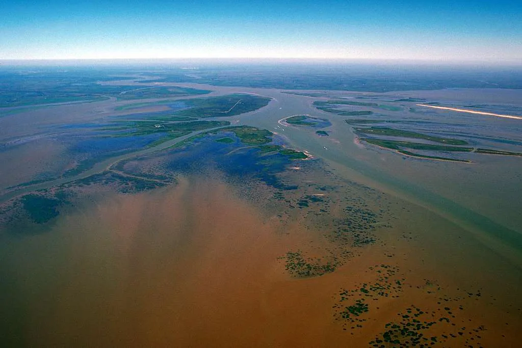 Atchafalaya Delta WMA LAA