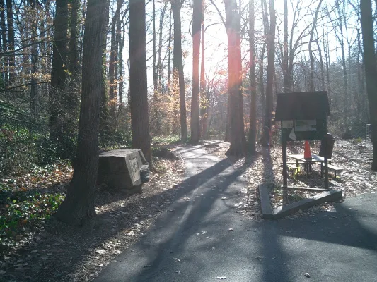 Improve the Takoma Park Tree Protection Process