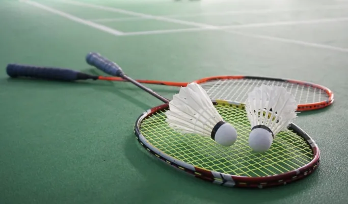 Girls Badminton Team at HPHS