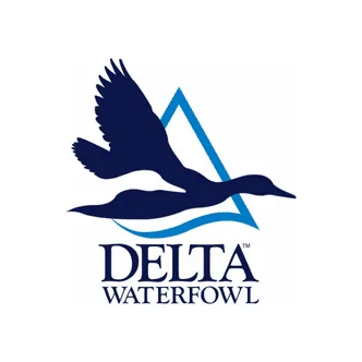 Louisiana Delta Waterfowl License Plate