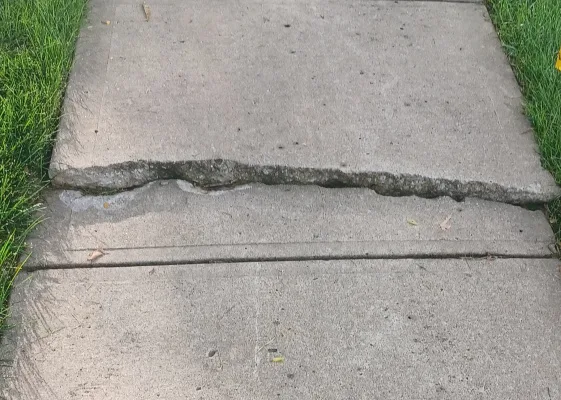 Repair Sidewalks in Timber Trace!