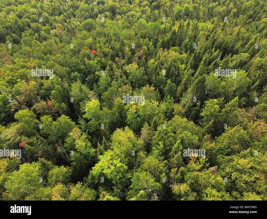 Support Quebec's Plan Nord | Nature Needs Half