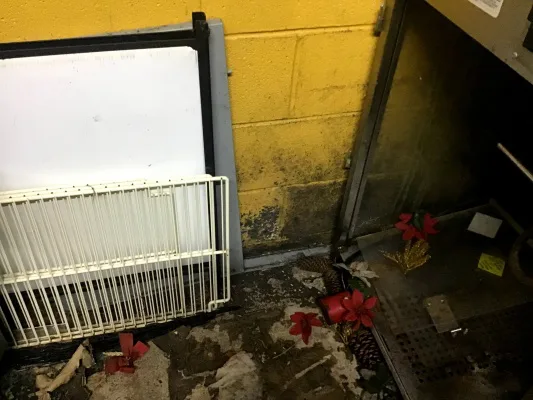 Health and safety