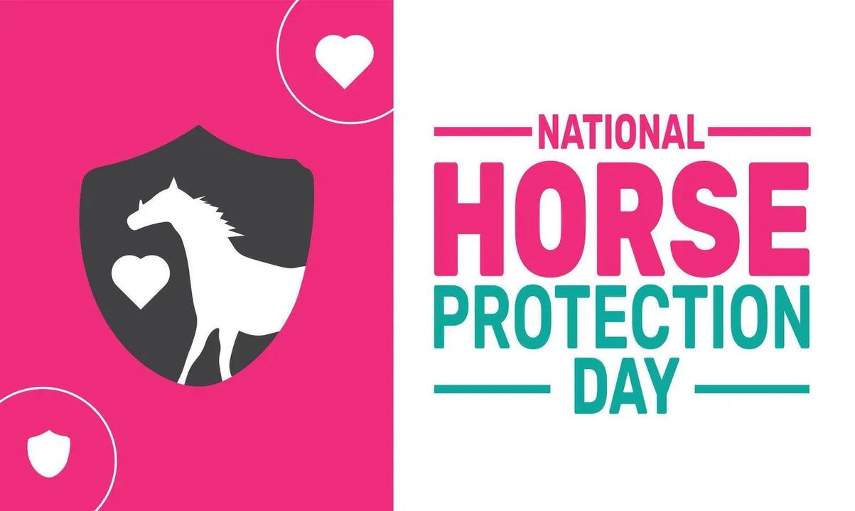 Stop horse slaughter and abuse!