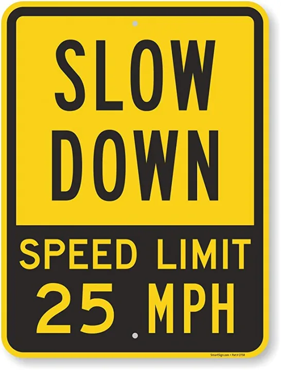 Concern for Speeding and Road Safety.