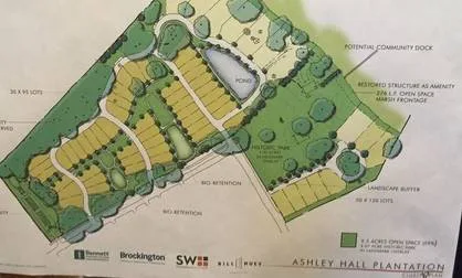 Stop the Ashley Hall Plantation Cluster Development