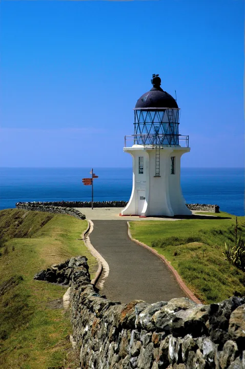 Protect Te Reinga - Te Ara Wairua
