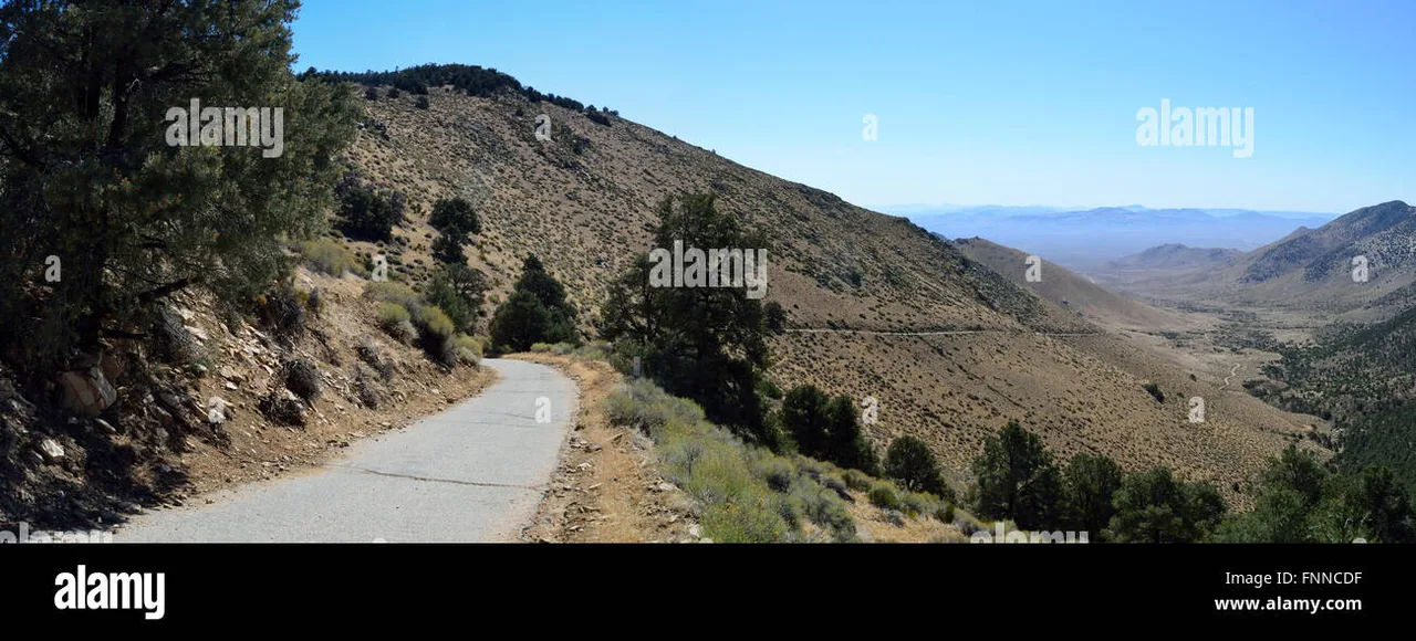 Snows Road Improvements
