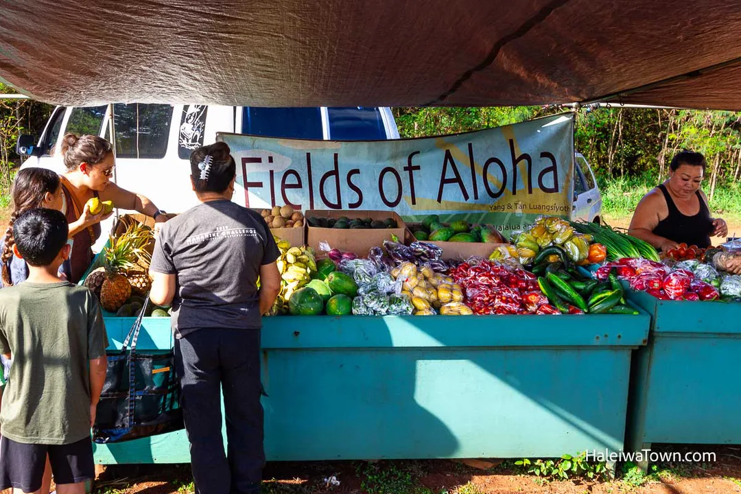 Save Haleiwa Farmers' Market