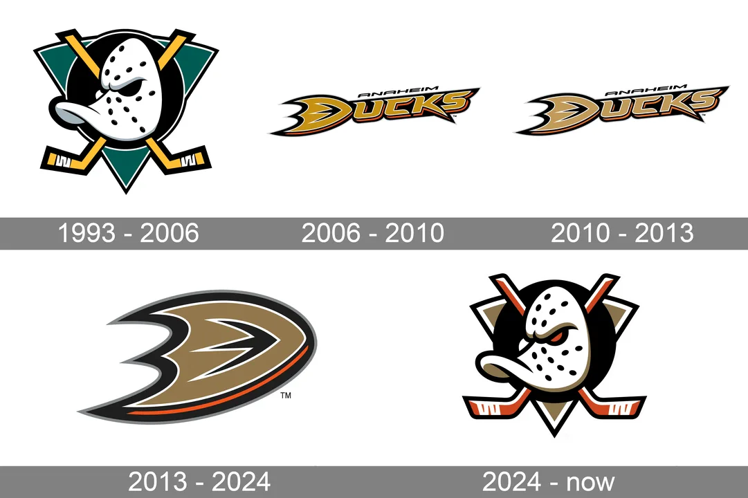 Ducks goal should be disallowed, game 5 Vs Canucks