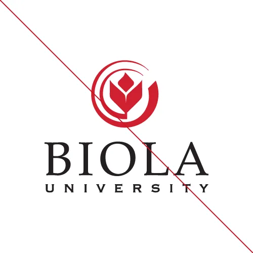 Bible Classes regarding Diversity, Race, and Social Justice