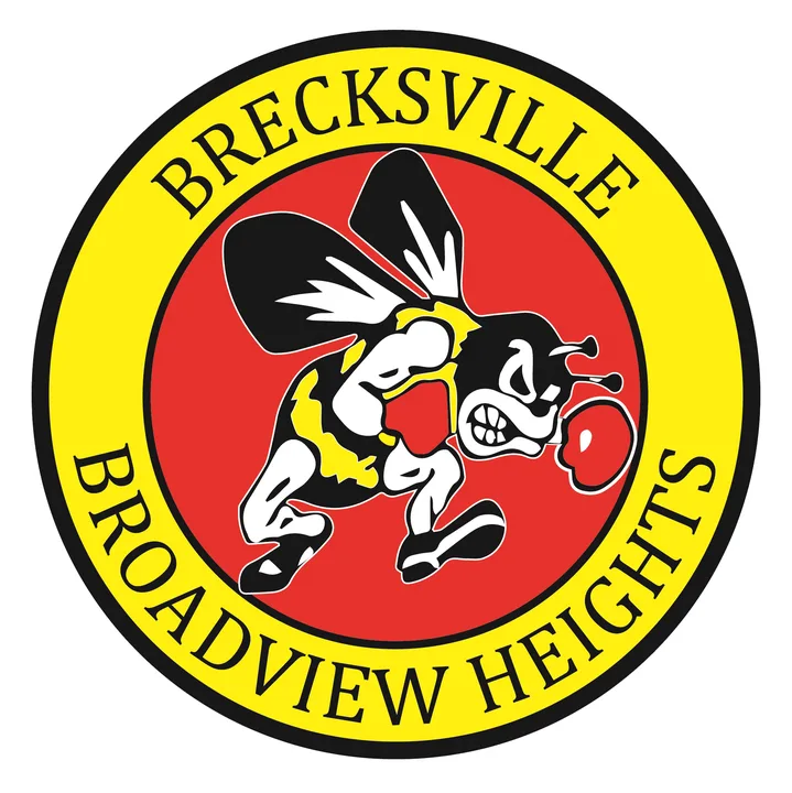 Support for Change of BBH Lady Bees Lacrosse head Coach
