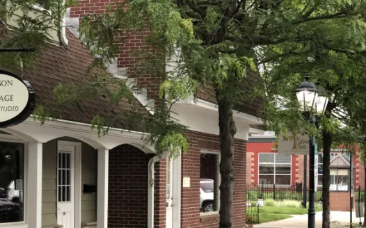 Keep the Trees in the Rhinebeck Bank Plaza