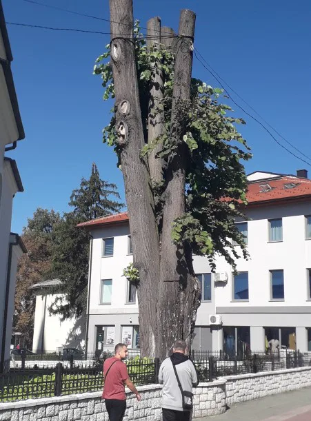 NE LOMITE NAM LIPE