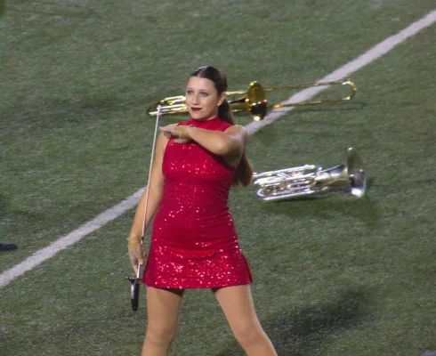 LULU WERTHEIMER FOR SERGEANT!!
