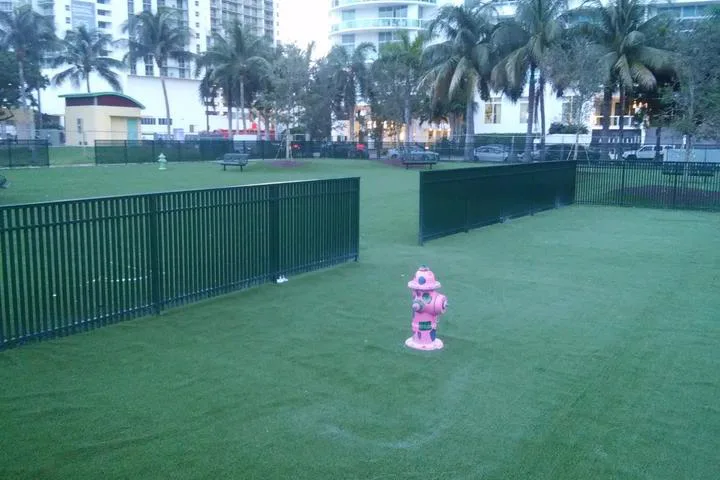 Off leash dogs at Southside Park
