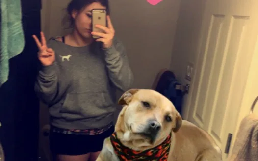 Get amanda a dog