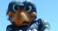Ryan Asdourian (Retired Blitz) to raise the 12th Man Flag.