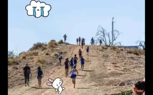 Anti-MtSac