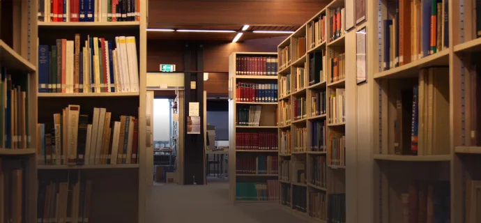 Save Dutch Egyptology and ANE studies