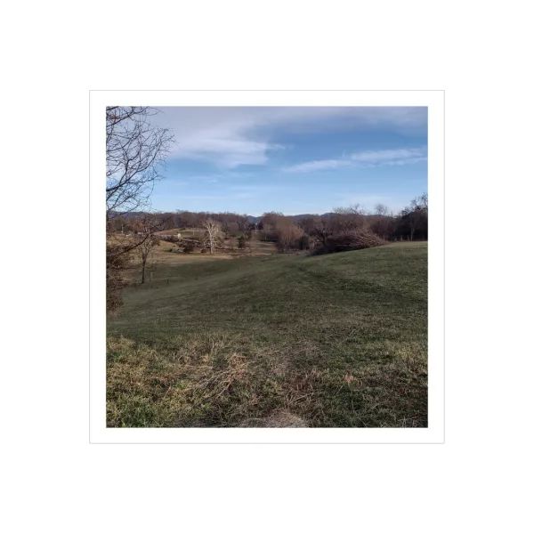 Preserve Our Neighborhood