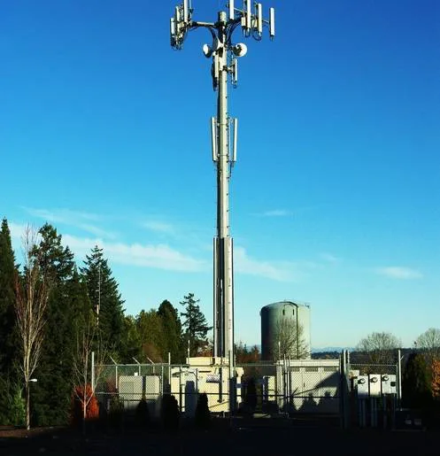 Rejection of Proposed Cell Tower-760 Topsail Rd.
