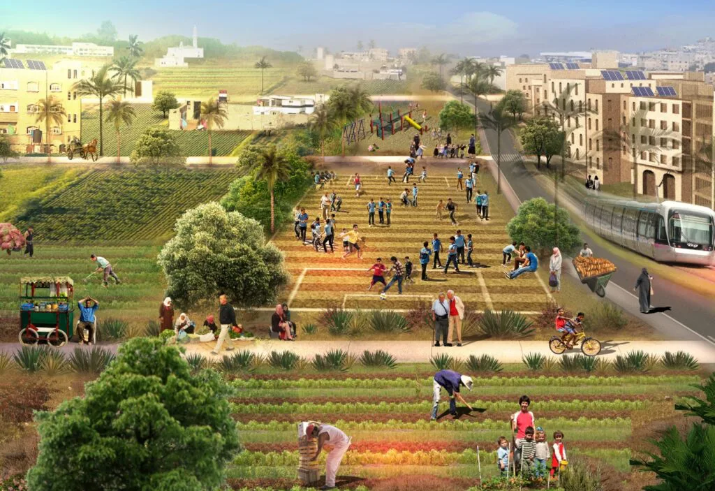 Turn Saraya into a Garden تحويل ارض السرايا الى حديقة 