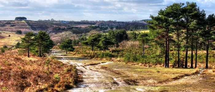 Ashdown Access