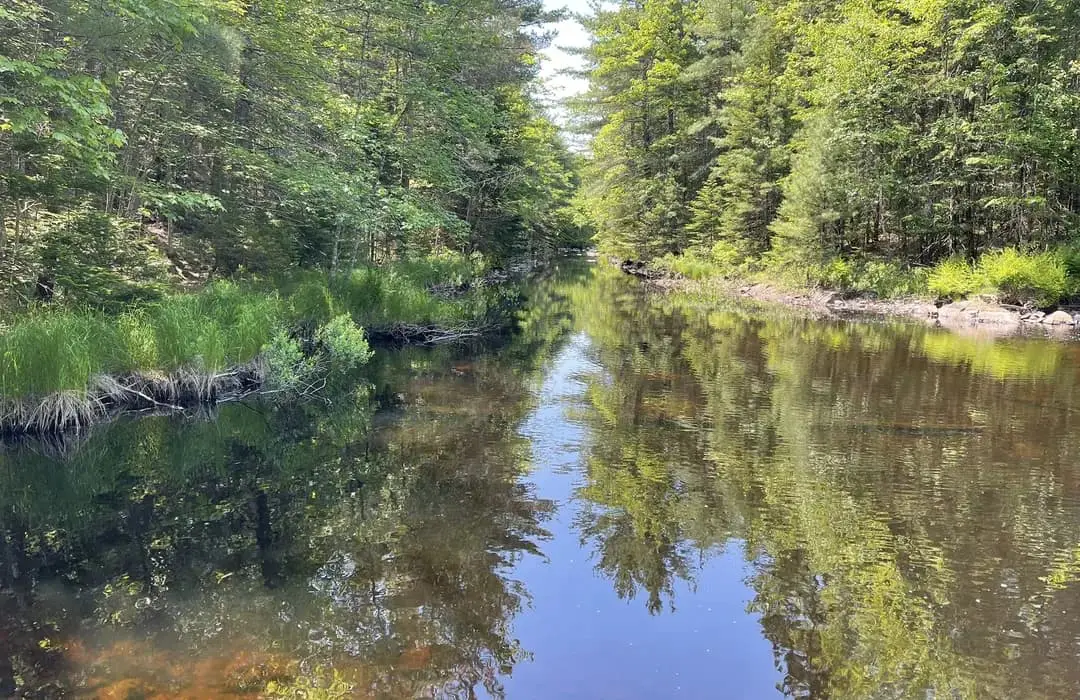 Stop the Proposed Northern Construction Quarry Near Miller Lake