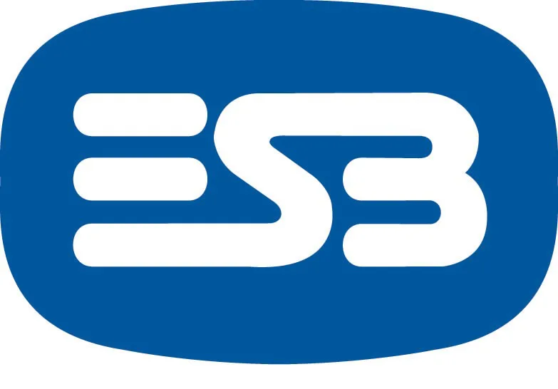 Please HELP stop the governmernt selling the ESB