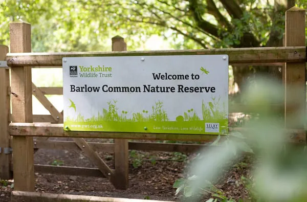Save Barlow Common
