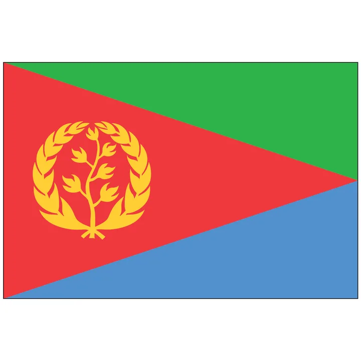 Stop the abuse in Eritrea! Respect basic rights! A global plea for action