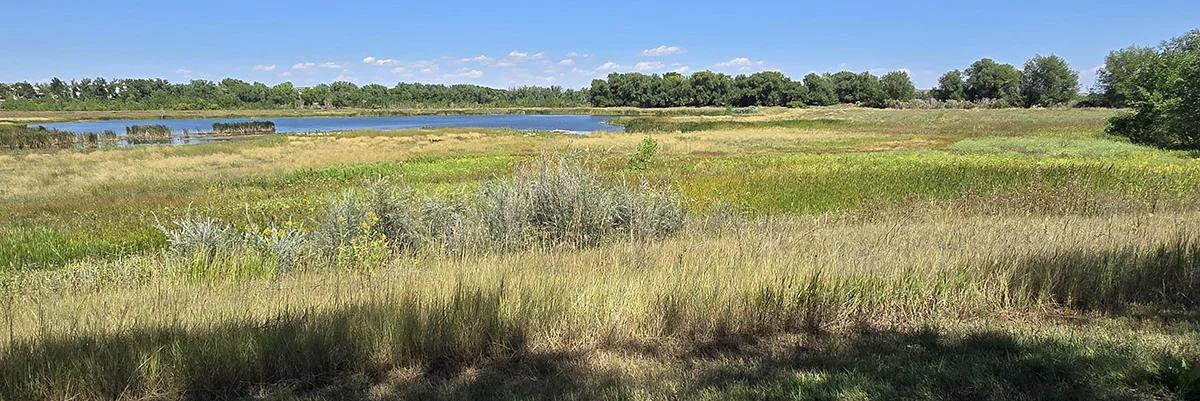 Support Recreation, Preservation & Education on the St. Vrain River!