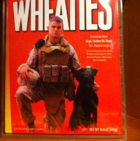 Veterans: Our True Champions