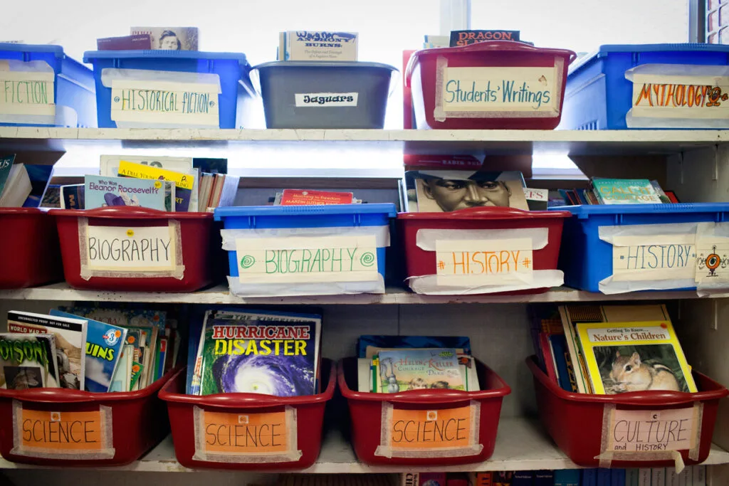 STOP CRITICAL RACE THEORY IN GEORGIA SCHOOLS