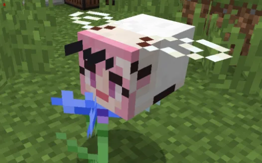 What is yuri?? Minecraft realm