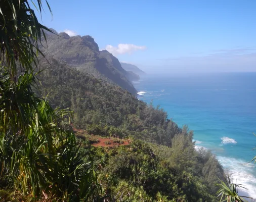 A Vibrant Rural Hawaii