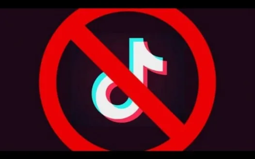 TikTok Verbod Nederland